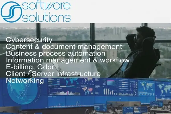 Software Solutions Partner